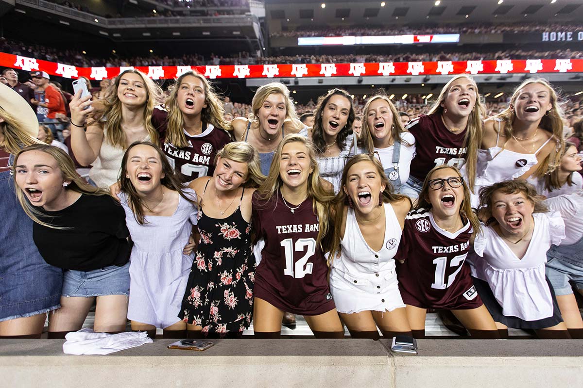 Fans at a game