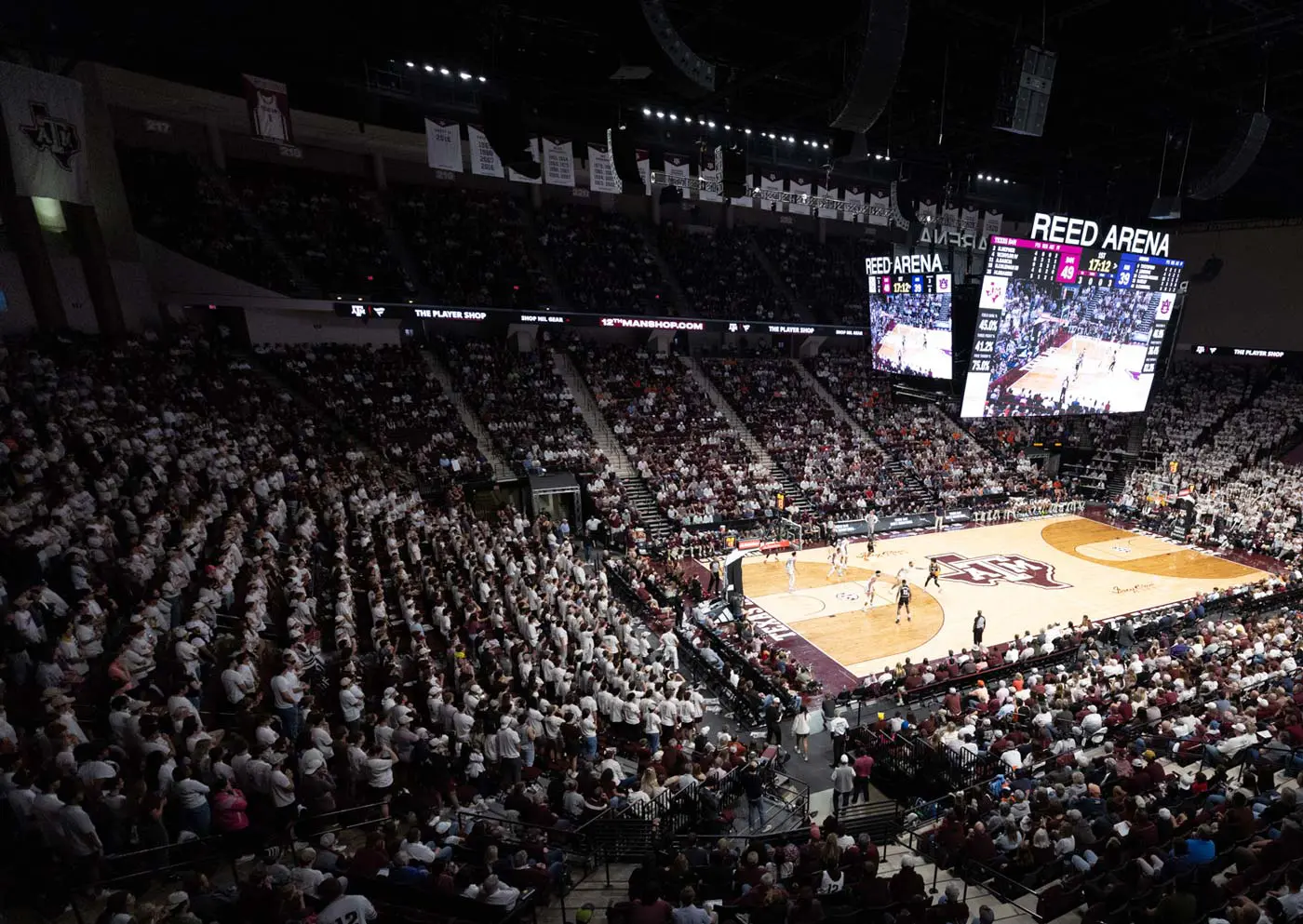 stadium full of fans