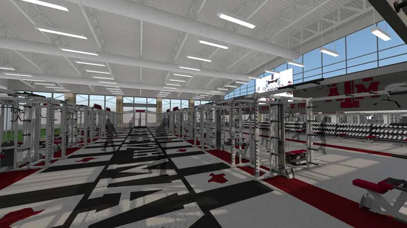 davis weights